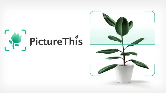 Picture This – Ung dung nhan dien cay coi thong minh tren iPhone