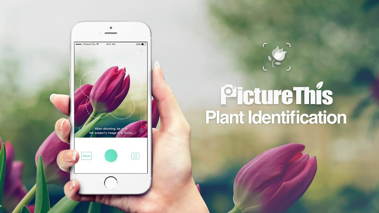 Picture This – Ung dung nhan dien cay coi thong minh tren iPhone