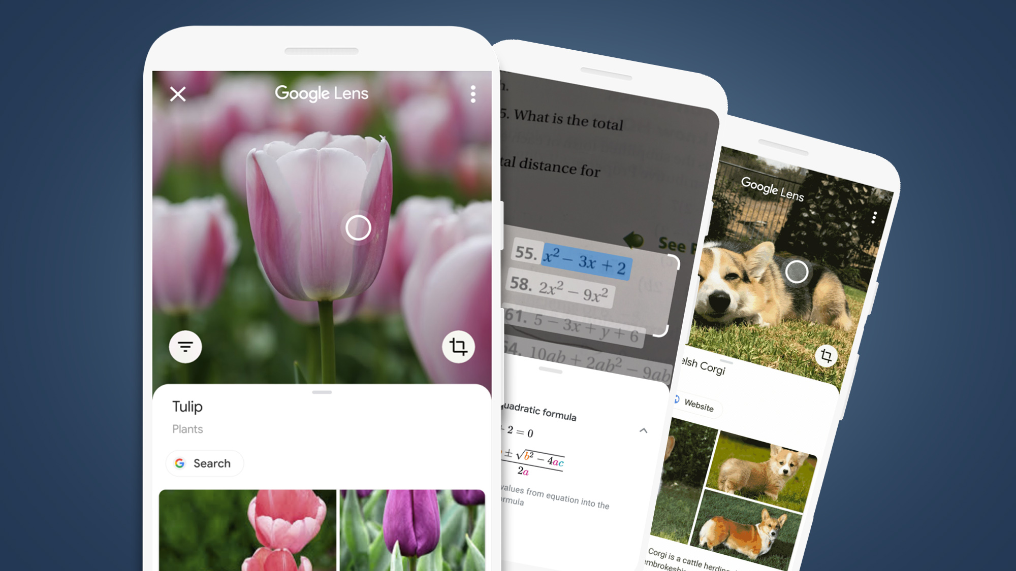 Google Lens khong chi la mot cong cu ho tro ma con la nguoi ban dong hanh thong minh, giup nguoi dung Samsung Android tan dung toi da camera tren thiet bi