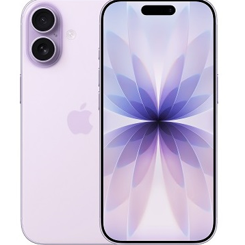 17 Tím Oải Hương